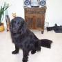 Nancy Fielding Photo 26