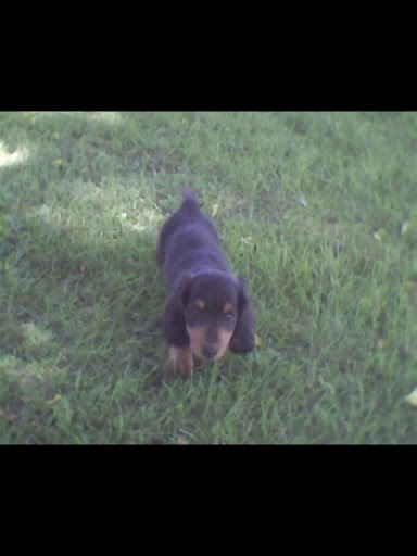 Tracy Martin Photo 13