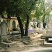 Dolores Pacheco Photo 30