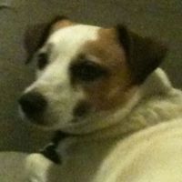 Jeremy Nance Photo 31