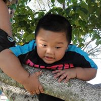 Cheng Yu Photo 13