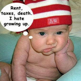 Joseph Perrotta Photo 18