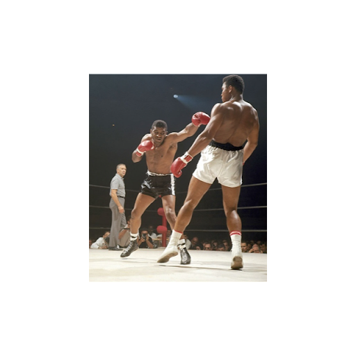 Randy Norris Photo 21