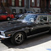 Will Jensen Photo 19