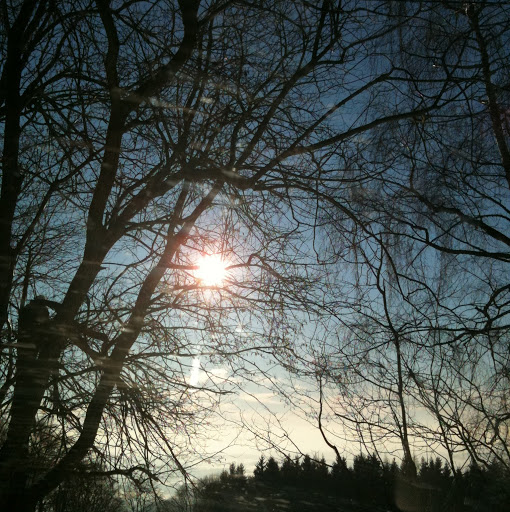 Michael Hager Photo 35 Michael Hager Photo 35