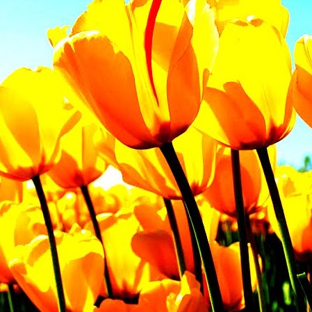 Christine Plummer Photo 12