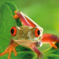 Melissa Holt Photo 10