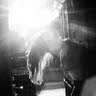 Kelly Dewitt Photo 18