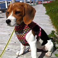 Tracy Barbour Photo 13