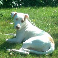 Katherine Webber Photo 8