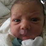 Theresa Malloy Photo 14