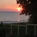 Joy Gaines Photo 23