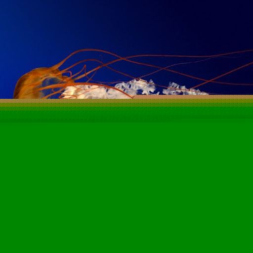 Bladimir Abreu Photo 3