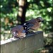 Jay Stover Photo 18