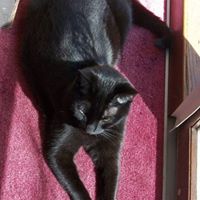 Sue Whitman Photo 22