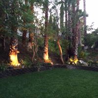 Judy Mccrary Photo 15