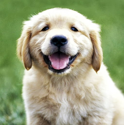 Gail Larson Photo 19