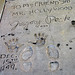 Debbie Peck Photo 11