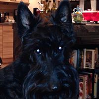 Geraldine Souter Photo 1