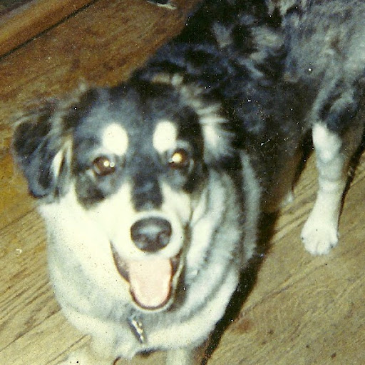 Priscilla Jackson Photo 16