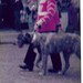Jon Templeton Photo 28