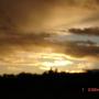 Tina Mclain Photo 15