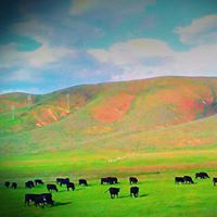 Thomas Hebert Photo 36 Thomas Hebert Photo 36