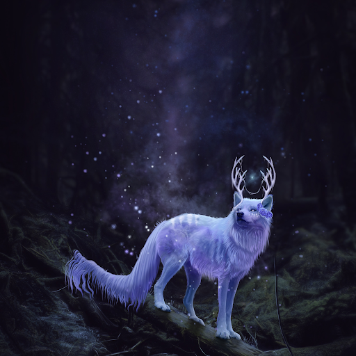 Catherine Fritz Photo 8