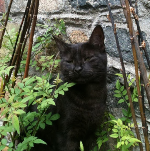 Frances Browning Photo 9