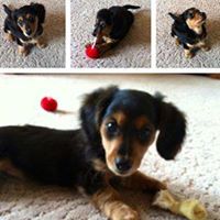 Jennifer Killion Photo 14