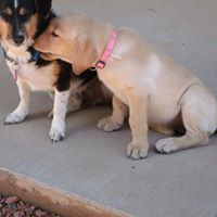 Colleen Gore Photo 6