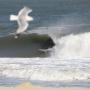 Clifton Rogers Photo 10