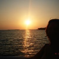 Sandy Curtis Photo 34