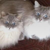 Anna Connor Photo 16