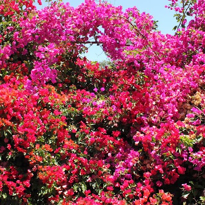 Anna Barnes Photo 38