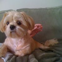 Jamie Cardwell Photo 18