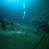 Michael Walk Photo 15