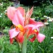 Thomas Canna Photo 5