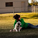 Cheyenne Olson Photo 10