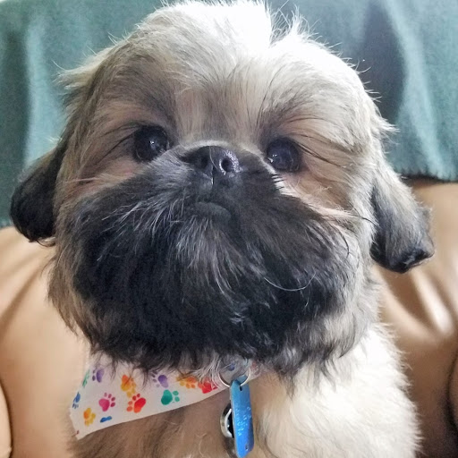 Lori Norris Photo 14