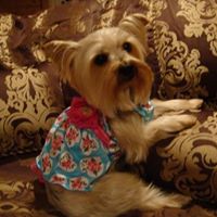 Tonya Horton Photo 22