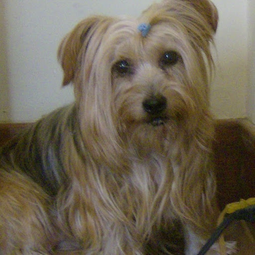 Judith Quinn Photo 33