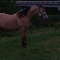 Liz Tripp Photo 6