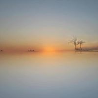 Fei Chen Photo 28 Fei Chen Photo 28