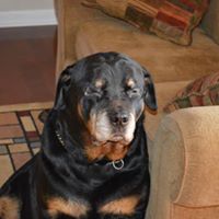 Larry Skipper Photo 16