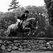 Amy Atkins Photo 32