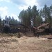 Jesse Peterson Photo 16