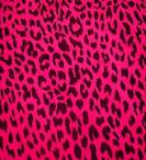 Alyssa Austin Photo 7