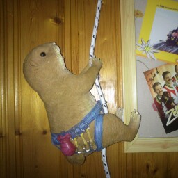 Annette Engel Photo 5