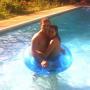 Carol Simmons Photo 8